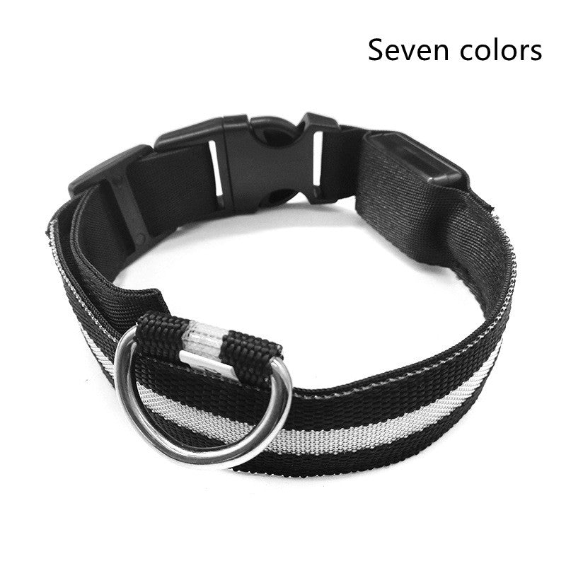 Nylon LED Pet Dog Luminous Collar Night Safety Flashing Glow in Dark Dog Cat Leash Adjustable Pet Supplies Legendary Animal Supply