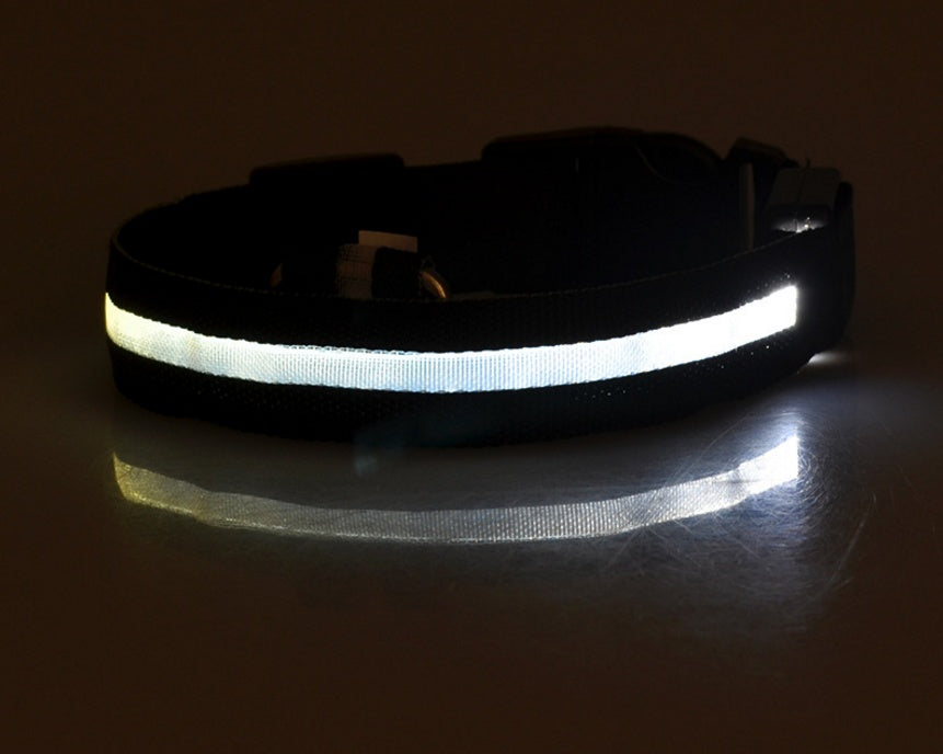Nylon LED Pet Dog Luminous Collar Night Safety Flashing Glow in Dark Dog Cat Leash Adjustable Pet Supplies Legendary Animal Supply