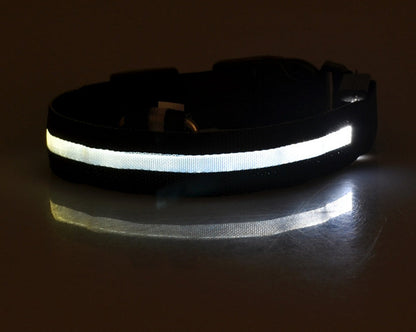 Nylon LED Pet Dog Luminous Collar Night Safety Flashing Glow in Dark Dog Cat Leash Adjustable Pet Supplies Legendary Animal Supply