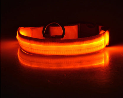 Nylon LED Pet Dog Luminous Collar Night Safety Flashing Glow in Dark Dog Cat Leash Adjustable Pet Supplies Legendary Animal Supply