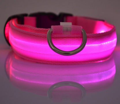 Nylon LED Pet Dog Luminous Collar Night Safety Flashing Glow in Dark Dog Cat Leash Adjustable Pet Supplies Legendary Animal Supply