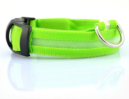 Nylon LED Pet Dog Luminous Collar Night Safety Flashing Glow in Dark Dog Cat Leash Adjustable Pet Supplies Legendary Animal Supply