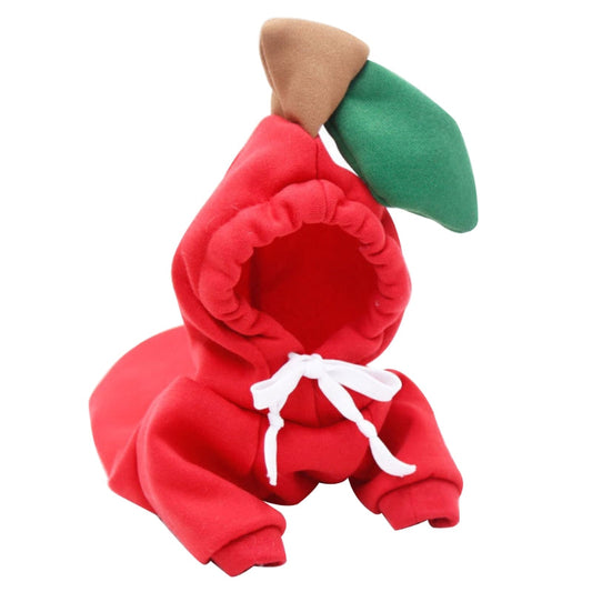 Chihuahua With Plush Pet Clothes For Autumn And Winter Legendary Animal Supply