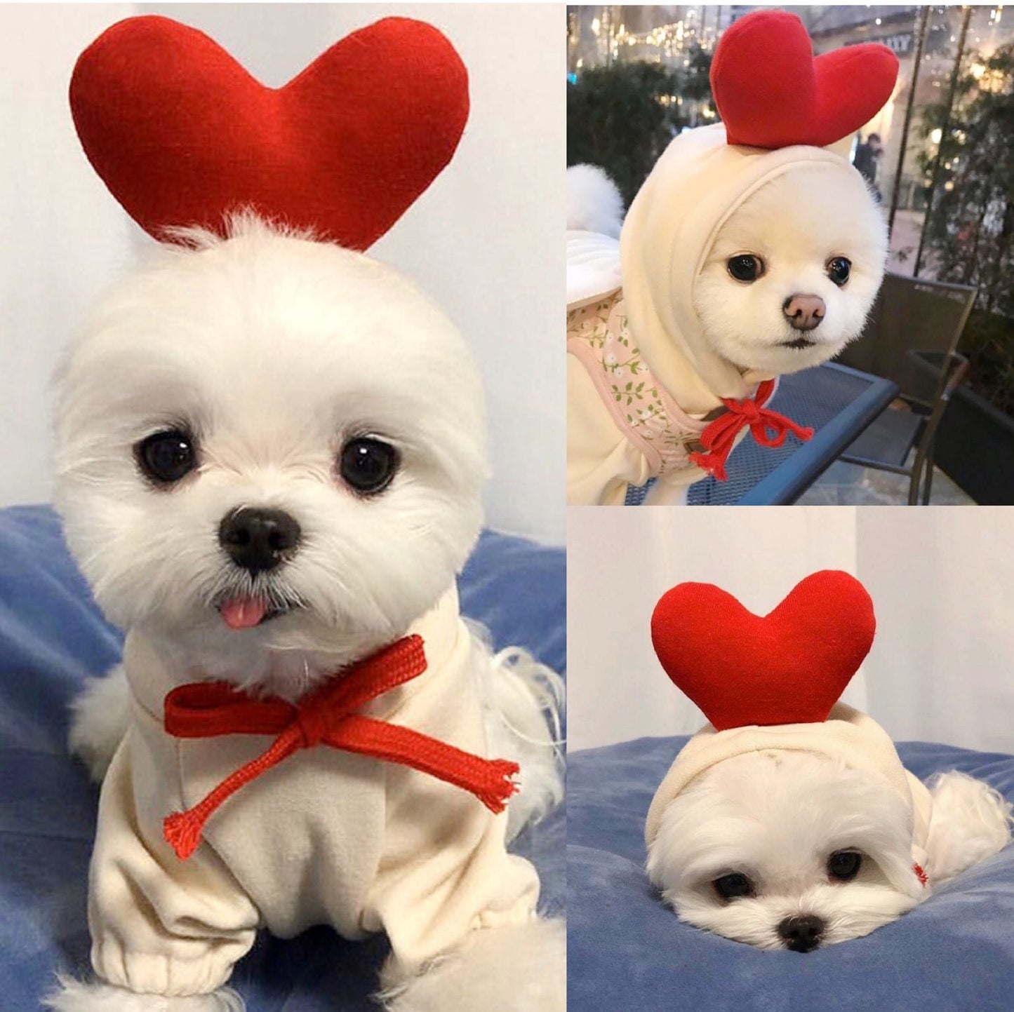 Cute Fruit Dog Clothes For Small Dogs Hoodies Winter Warm Fleece Pet Clothing Puppy Cat Costume Coat For French Chihuahua Outfit Legendary Animal Supply
