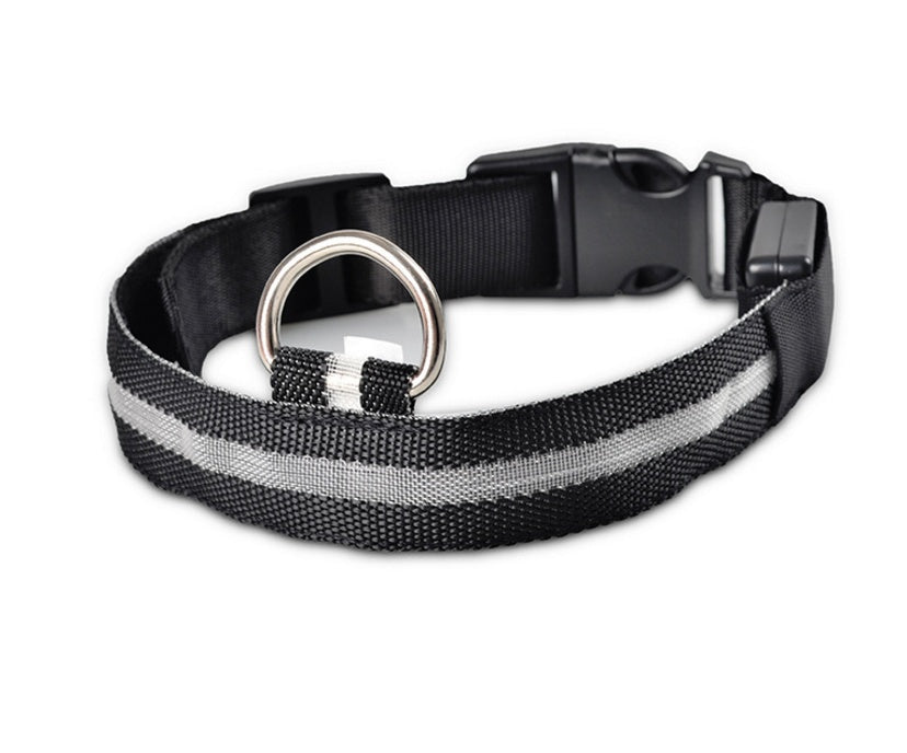 Nylon LED Pet Dog Luminous Collar Night Safety Flashing Glow in Dark Dog Cat Leash Adjustable Pet Supplies Legendary Animal Supply