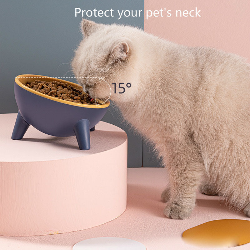 Cat Dog Bowl With Stand Pet Feeding Food Bowls Dogs Bunny Rabbit Nordic Color Feeder Product Supplies Pet Accessories Legendary Animal Supply