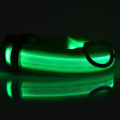 Nylon LED Pet Dog Luminous Collar Night Safety Flashing Glow in Dark Dog Cat Leash Adjustable Pet Supplies Legendary Animal Supply