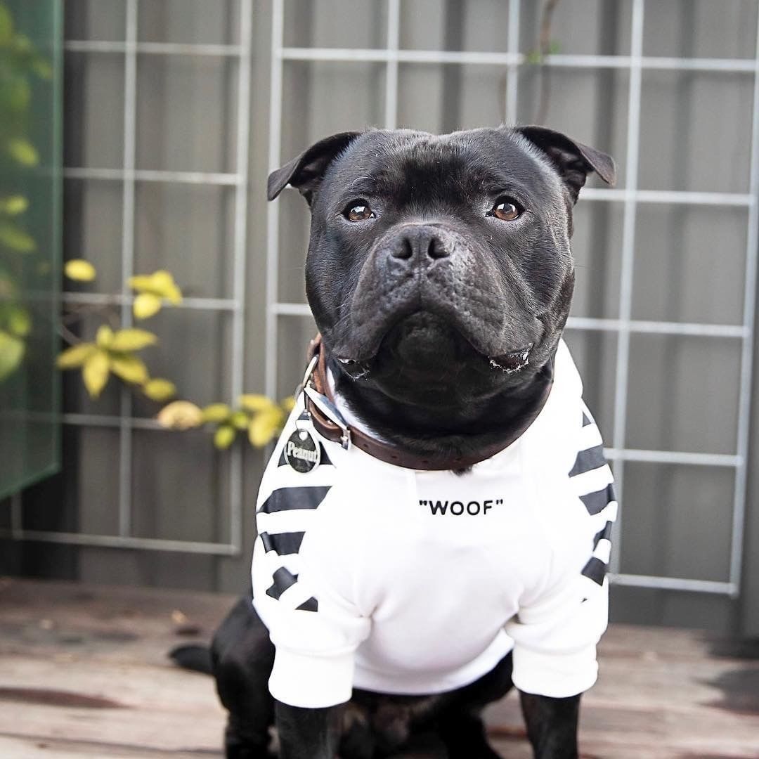 Pet tide brand dog plus velvet thick sweater Legendary Animal Supply
