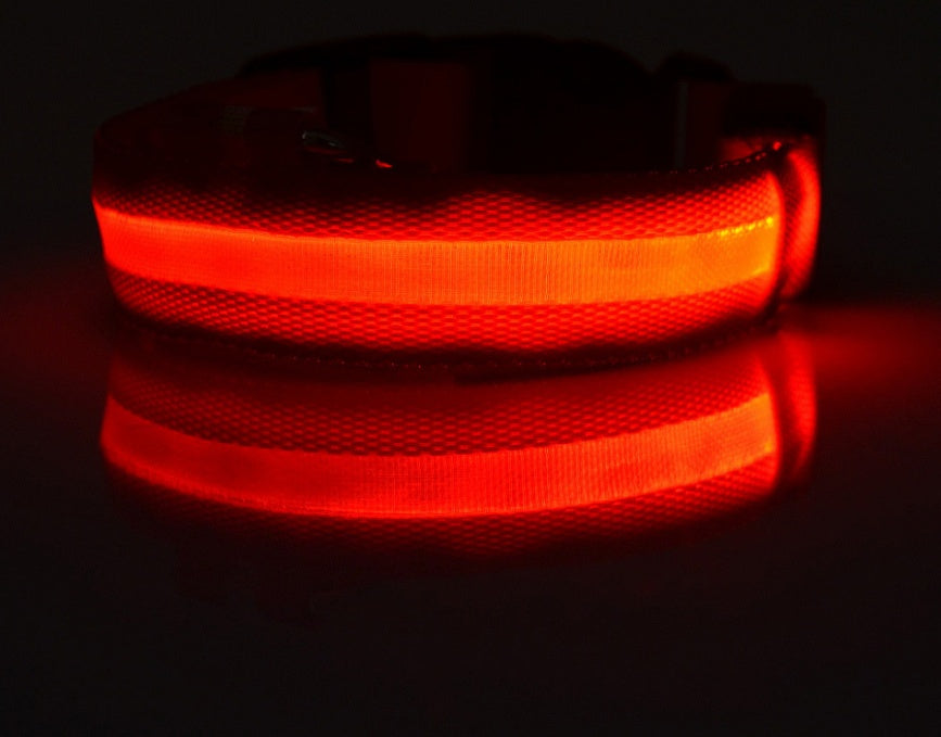 Nylon LED Pet Dog Luminous Collar Night Safety Flashing Glow in Dark Dog Cat Leash Adjustable Pet Supplies Legendary Animal Supply