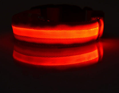 Nylon LED Pet Dog Luminous Collar Night Safety Flashing Glow in Dark Dog Cat Leash Adjustable Pet Supplies Legendary Animal Supply
