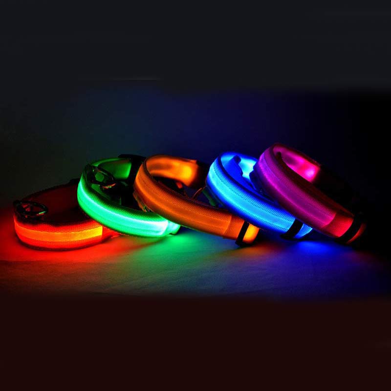 Nylon LED Pet Dog Luminous Collar Night Safety Flashing Glow in Dark Dog Cat Leash Adjustable Pet Supplies Legendary Animal Supply