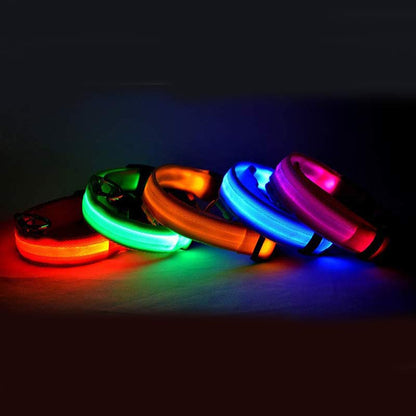 Nylon LED Pet Dog Luminous Collar Night Safety Flashing Glow in Dark Dog Cat Leash Adjustable Pet Supplies Legendary Animal Supply