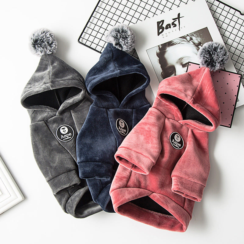 Dog winter clothes Legendary Animal Supply
