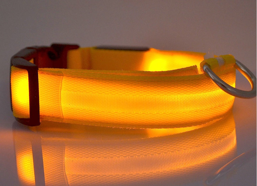 Nylon LED Pet Dog Luminous Collar Night Safety Flashing Glow in Dark Dog Cat Leash Adjustable Pet Supplies Legendary Animal Supply