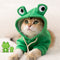 Green frog