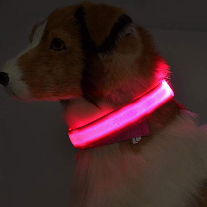 Nylon LED Pet Dog Luminous Collar Night Safety Flashing Glow in Dark Dog Cat Leash Adjustable Pet Supplies Legendary Animal Supply