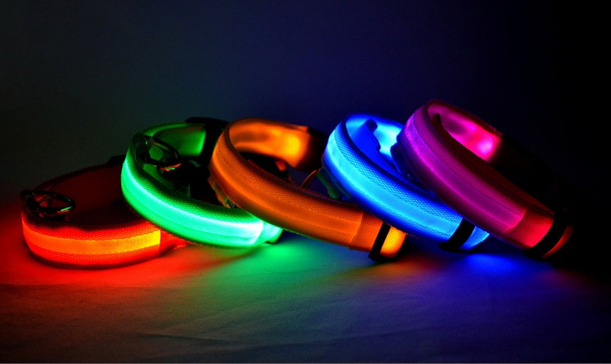 Nylon LED Pet Dog Luminous Collar Night Safety Flashing Glow in Dark Dog Cat Leash Adjustable Pet Supplies Legendary Animal Supply
