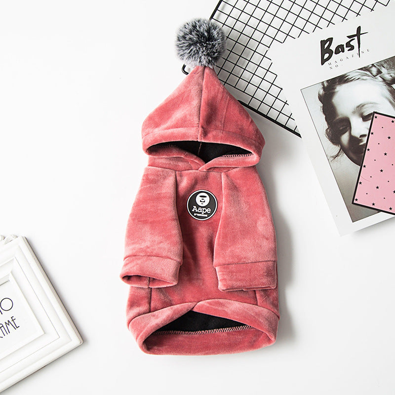 Dog winter clothes Legendary Animal Supply
