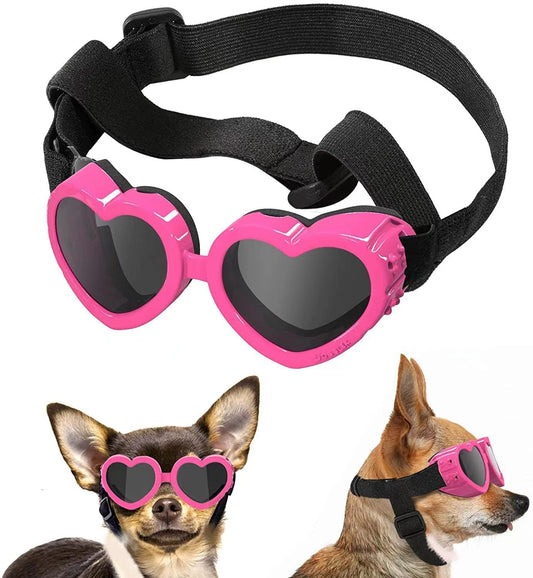 Pet Glasses Windproof Eye Protection Accessories Legendary Animal Supply